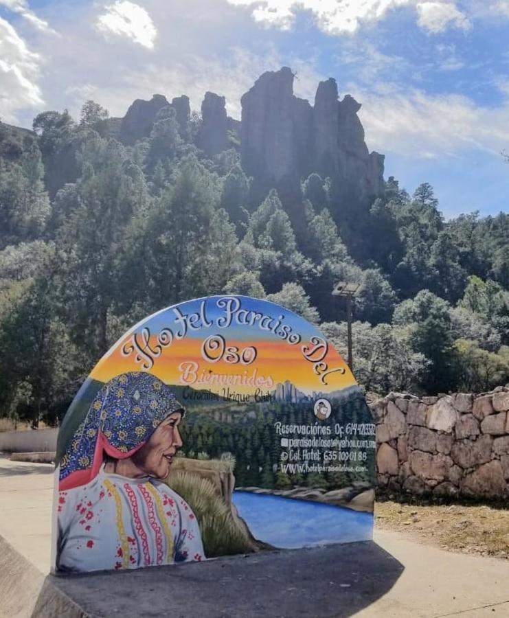 Hotel Paraiso Del Oso Cerocahuí エクステリア 写真